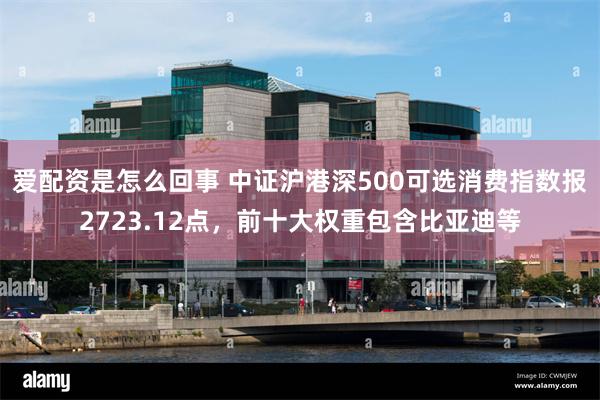 爱配资是怎么回事 中证沪港深500可选消费指数报2723.12点，前十大权重包含比亚迪等