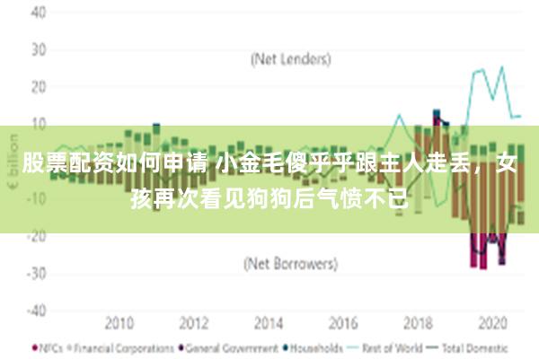 股票配资如何申请 小金毛傻乎乎跟主人走丢，女孩再次看见狗狗后气愤不已