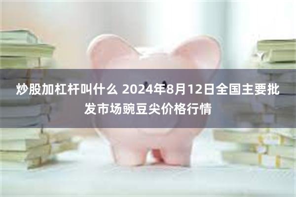 炒股加杠杆叫什么 2024年8月12日全国主要批发市场豌豆尖价格行情