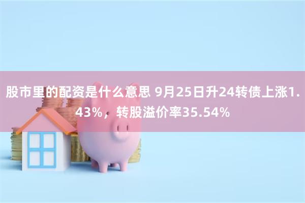 股市里的配资是什么意思 9月25日升24转债上涨1.43%，转股溢价率35.54%