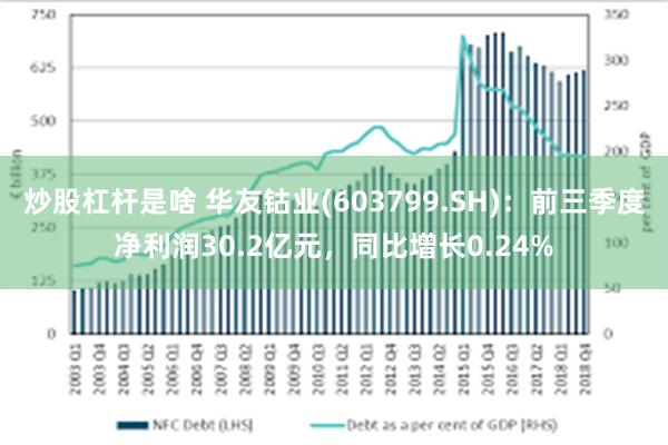 炒股杠杆是啥 华友钴业(603799.SH)：前三季度净利润30.2亿元，同比增长0.24%